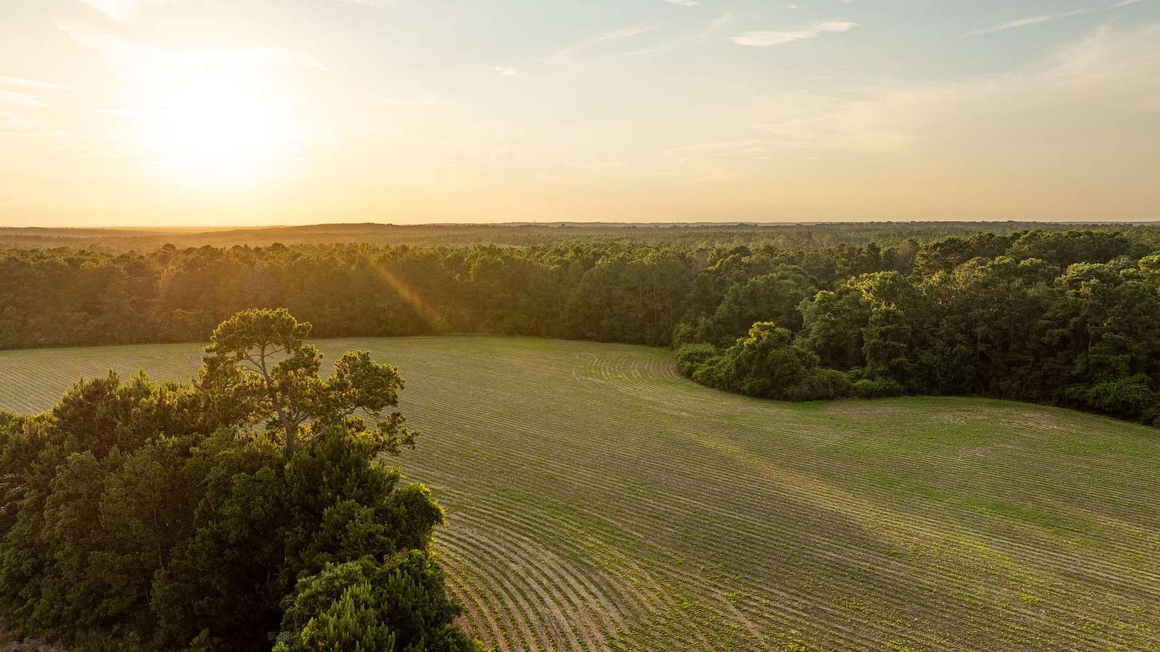 3.62 Acres of Land for Sale in Stapleton, Alabama