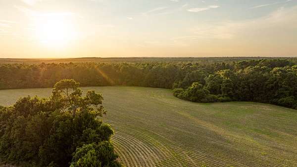 3.62 Acres of Land for Sale in Stapleton, Alabama