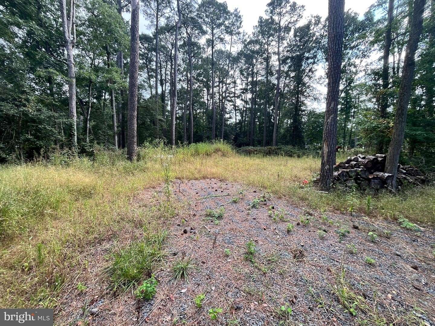 0.76 Acres of Residential Land for Sale in Laurel, Delaware