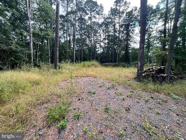 0.76 Acres of Residential Land for Sale in Laurel, Delaware