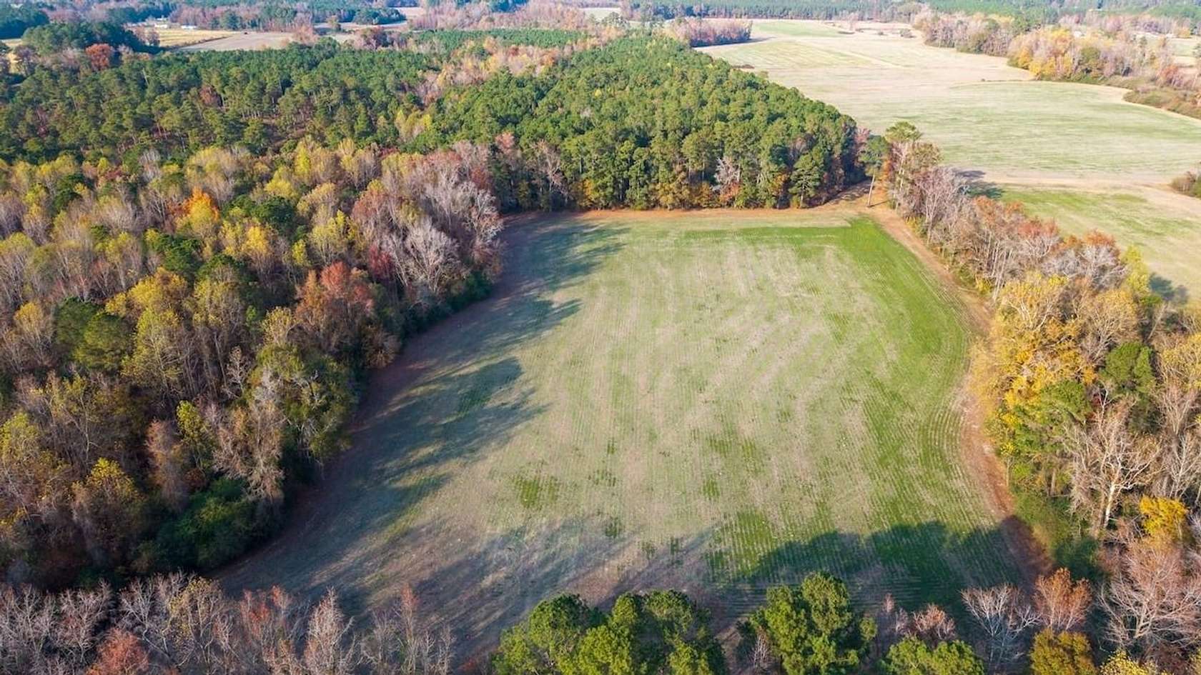 41.5 Acres of Recreational Land for Sale in Teachey, North Carolina