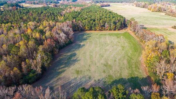 41.5 Acres of Recreational Land for Sale in Teachey, North Carolina