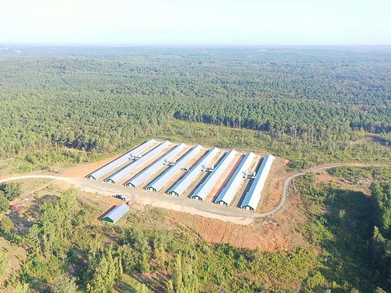 160 Acres of Agricultural & Residential Land for Sale in Arcadia, Louisiana