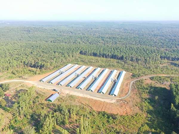 160 Acres of Agricultural & Residential Land for Sale in Arcadia, Louisiana