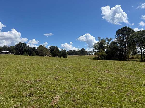 83 Acres of Land for Sale in Equality, Alabama
