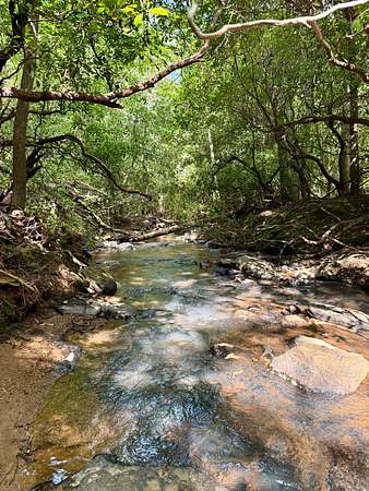 11.7 Acres of Recreational & Residential Land for Sale in Ashland, Alabama