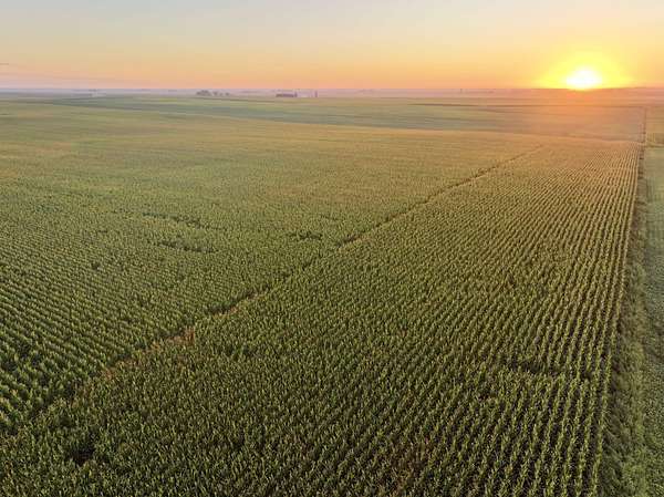 120 Acres of Land for Auction in Williams, Iowa