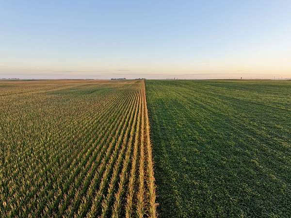 120 Acres of Land for Auction in Williams, Iowa