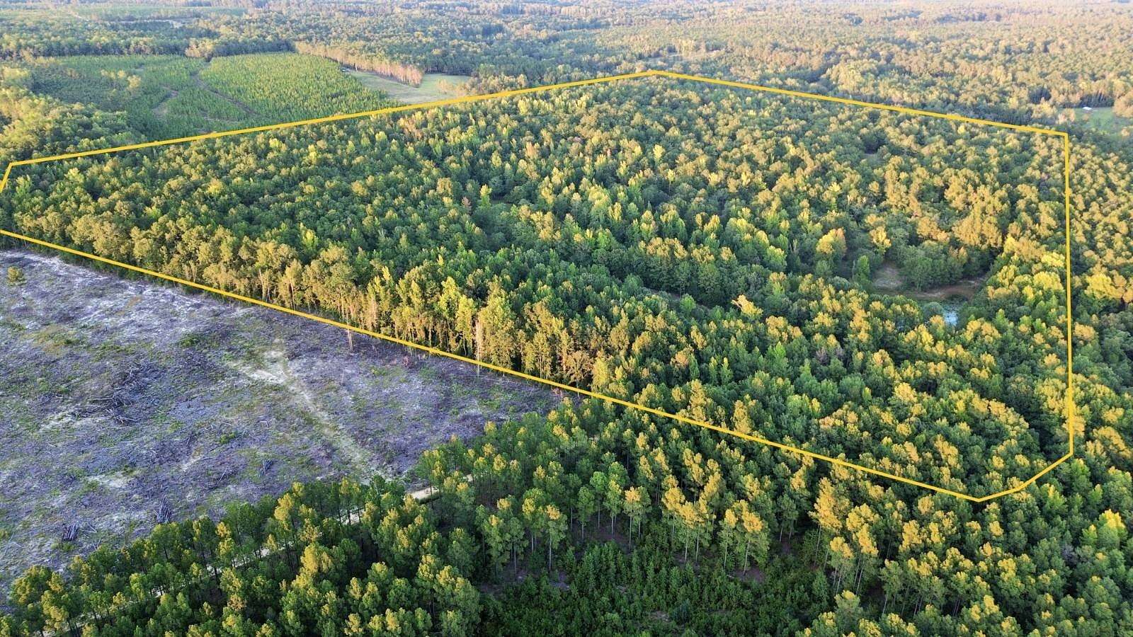 79.7 Acres of Recreational & Residential Land for Sale in Camden, South Carolina