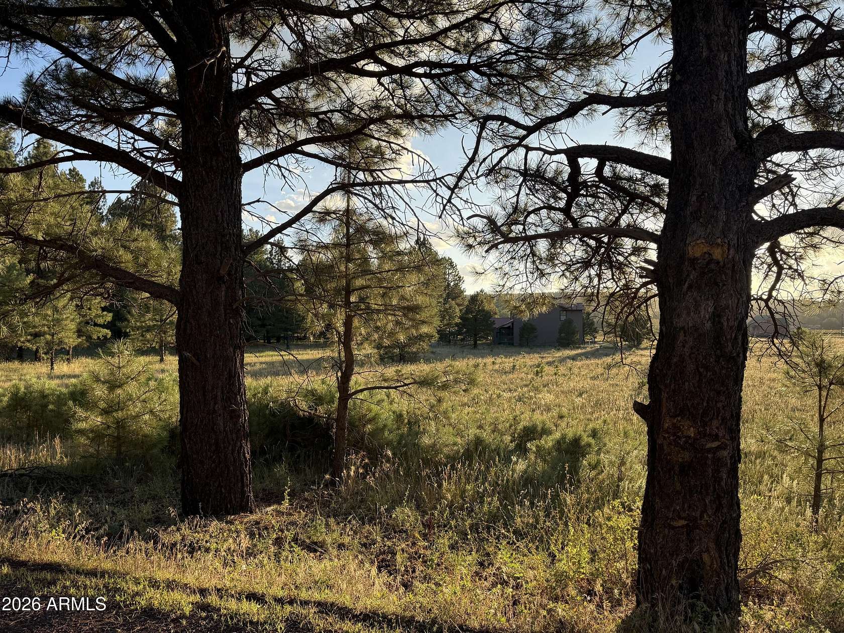 1 Acre of Mixed-Use Land for Sale in Mormon Lake, Arizona