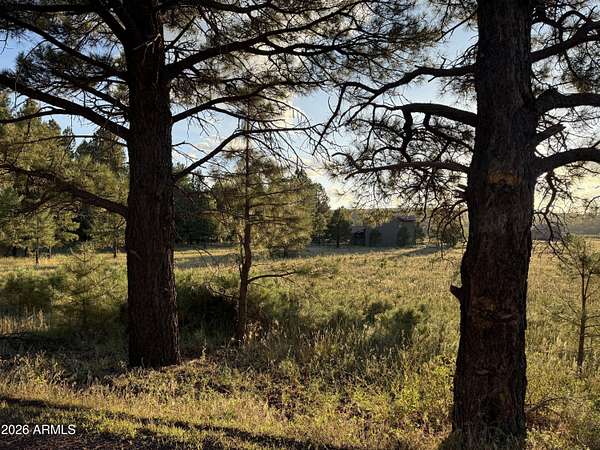 1 Acre of Mixed-Use Land for Sale in Mormon Lake, Arizona