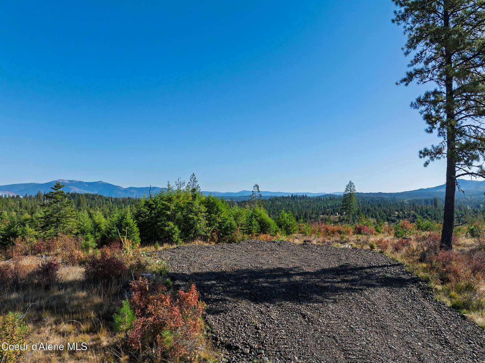 21.7 Acres of Recreational & Residential Land for Sale in St. Maries, Idaho