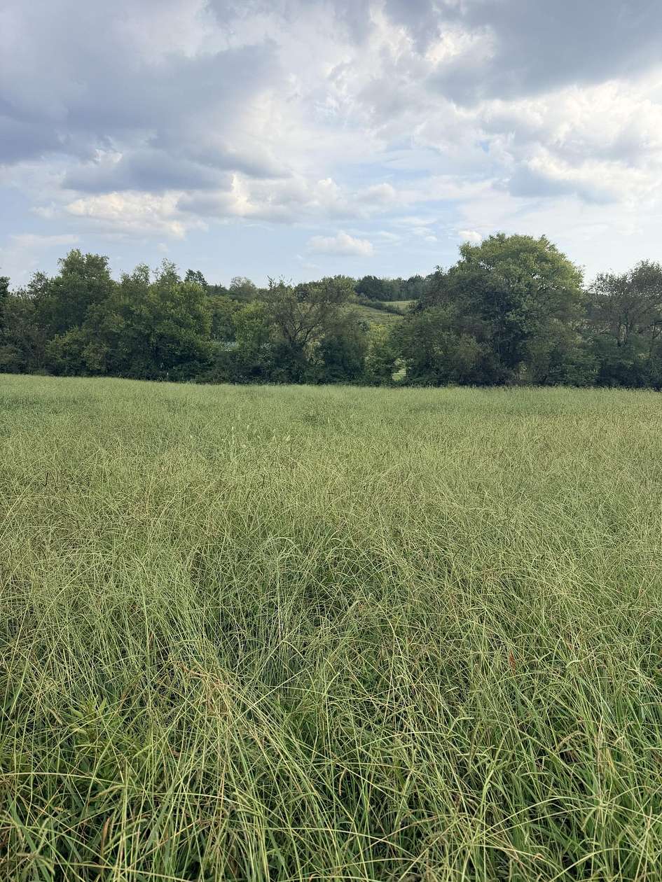 0.61 Acres of Residential Land for Sale in Morristown, Tennessee