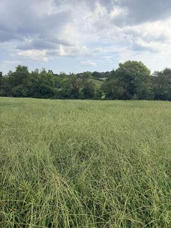 0.61 Acres of Residential Land for Sale in Morristown, Tennessee