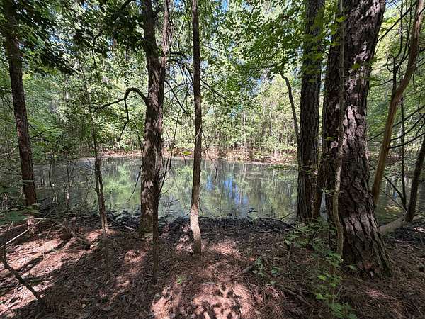 85.5 Acres of Land for Sale in McKenney, Virginia