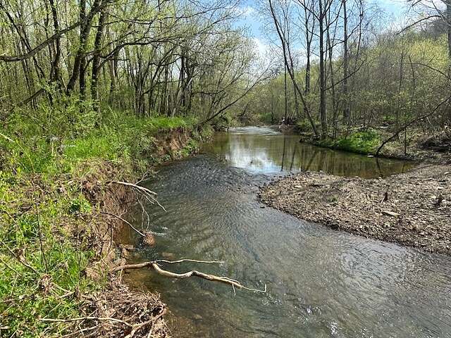 23 Acres of Recreational Land for Sale in Pulaski, Tennessee
