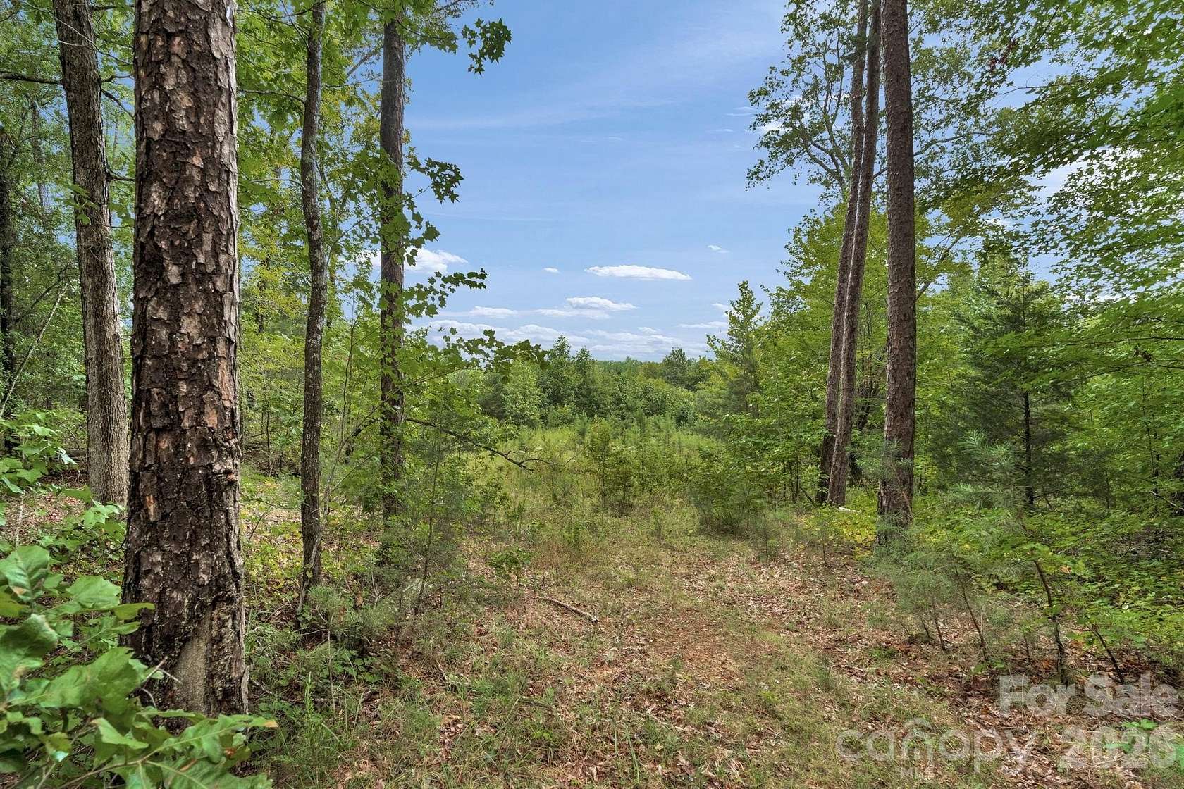 65 Acres of Recreational & Residential Land for Sale in Cleveland, North Carolina