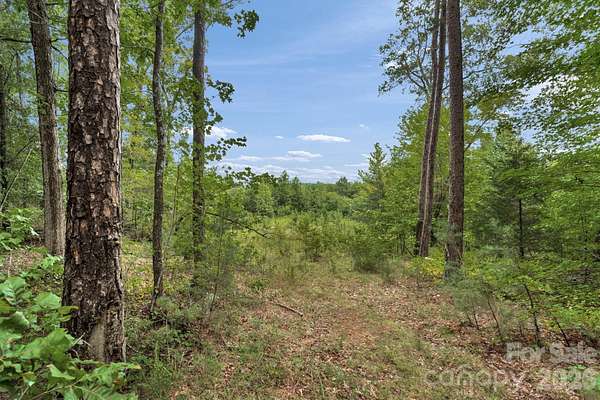 65 Acres of Recreational & Residential Land for Sale in Cleveland, North Carolina