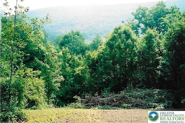 13 Acres of Land for Sale in Wilmot Township, Pennsylvania