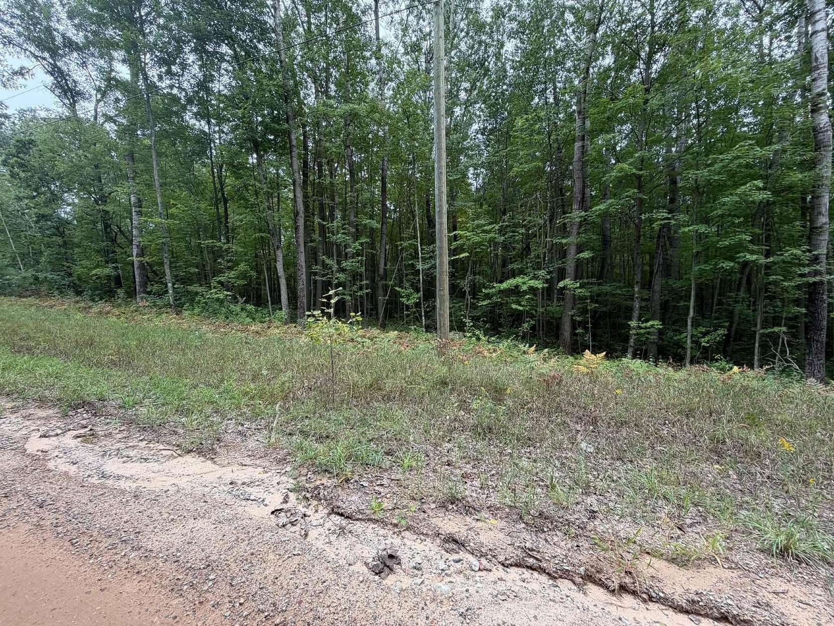 5 Acres of Residential Land for Sale in Lake, Michigan