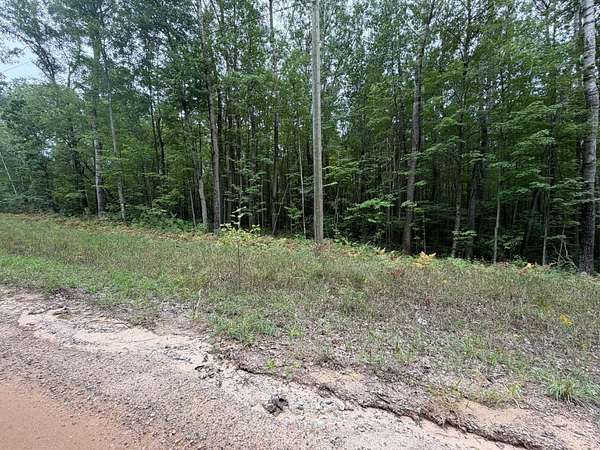 5 Acres of Residential Land for Sale in Lake, Michigan