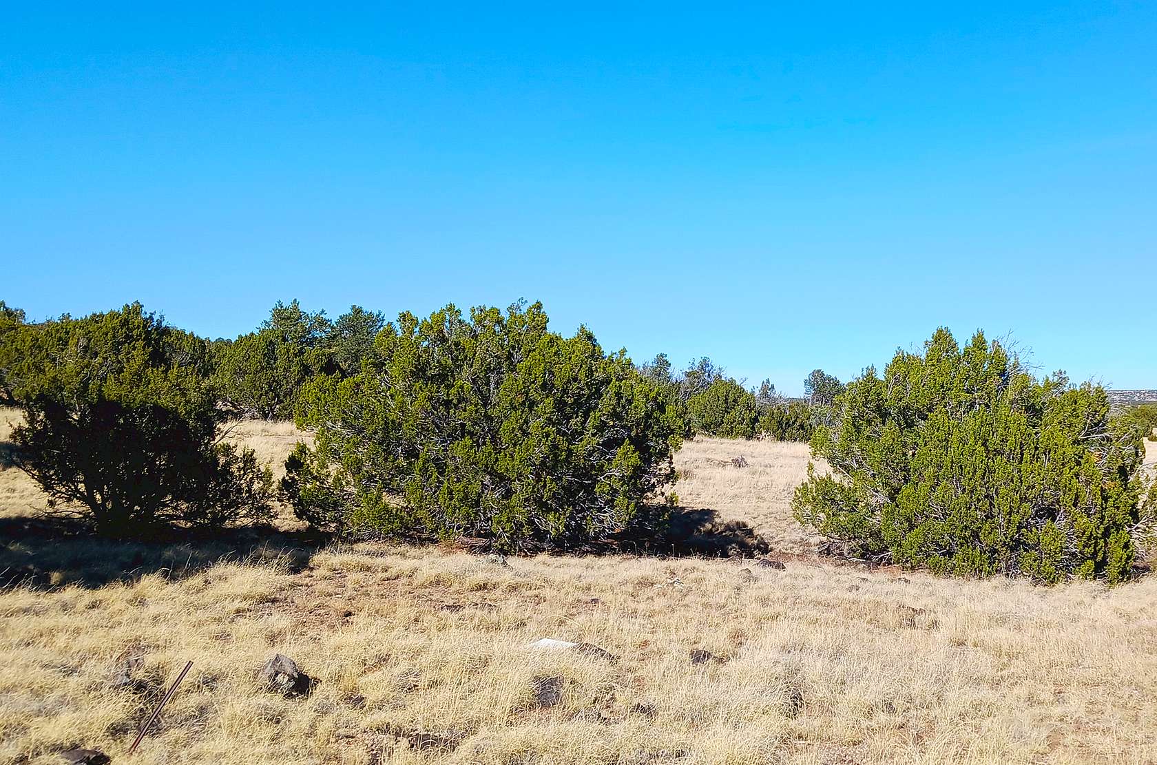 1 Acre of Residential Land for Sale in Concho, Arizona
