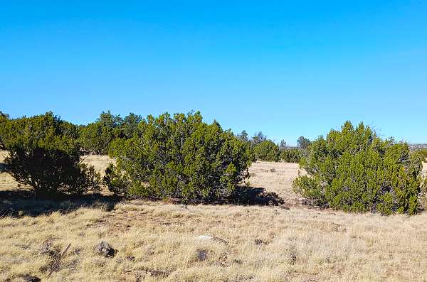 1 Acre of Residential Land for Sale in Concho, Arizona