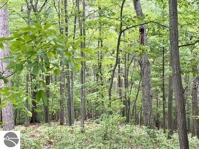 0.04 Acres of Residential Land for Sale in Glen Arbor, Michigan