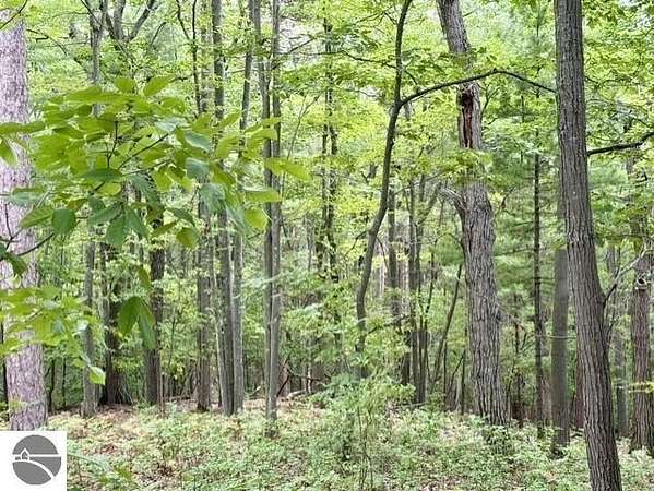 0.04 Acres of Residential Land for Sale in Glen Arbor, Michigan
