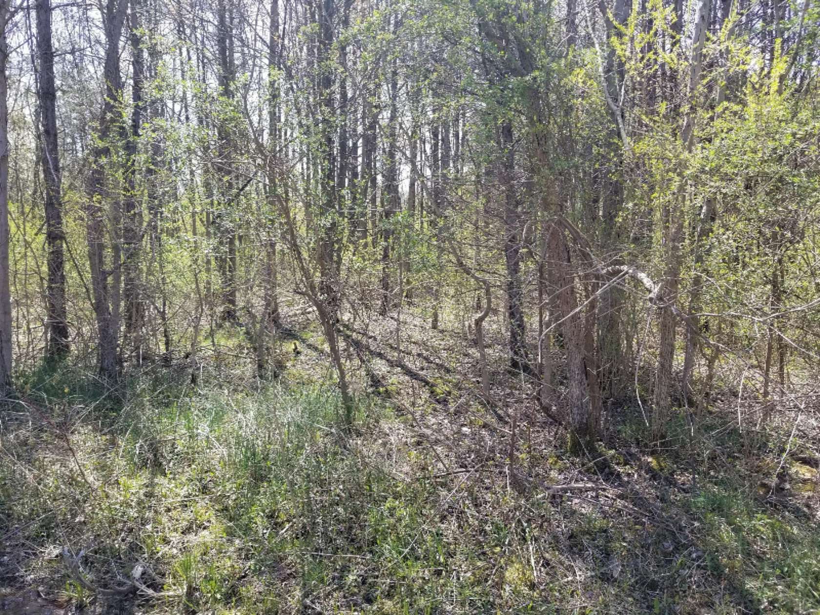 0.16 Acres of Residential Land for Sale in South Haven, Michigan