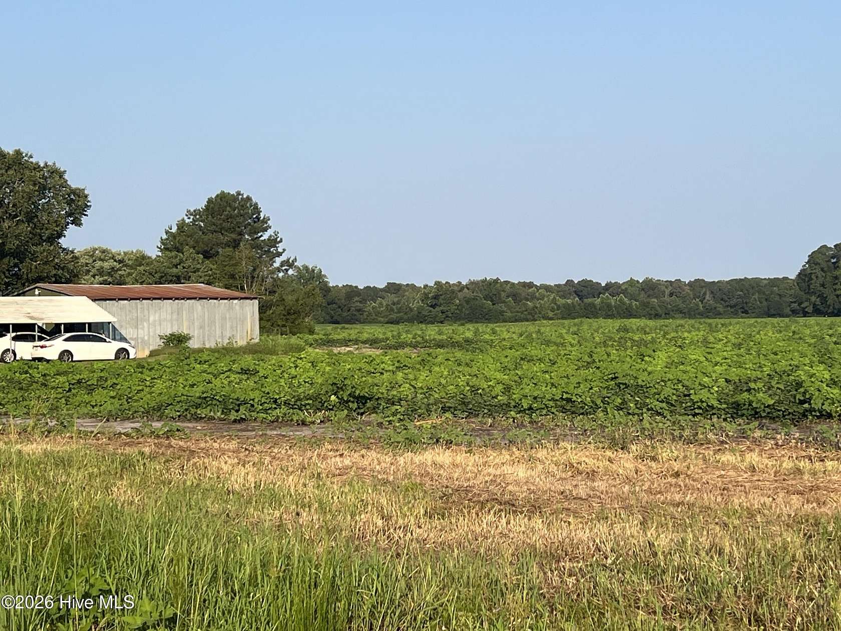 21.3 Acres of Land for Sale in Kinston, North Carolina