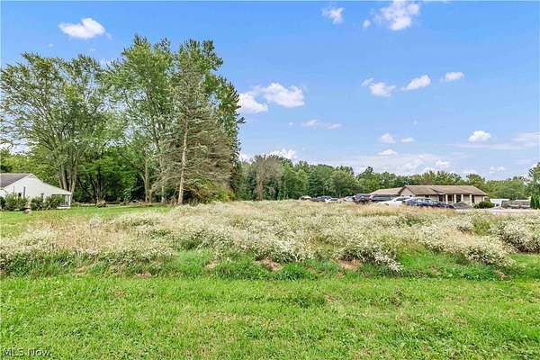 11.6 Acres of Land for Sale in Vienna, Ohio