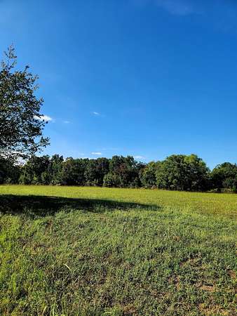 0.71 Acres of Residential Land for Sale in Decatur, Tennessee