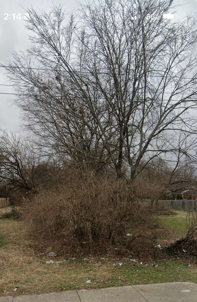 0.16 Acres of Residential Land for Sale in Nashville, Tennessee