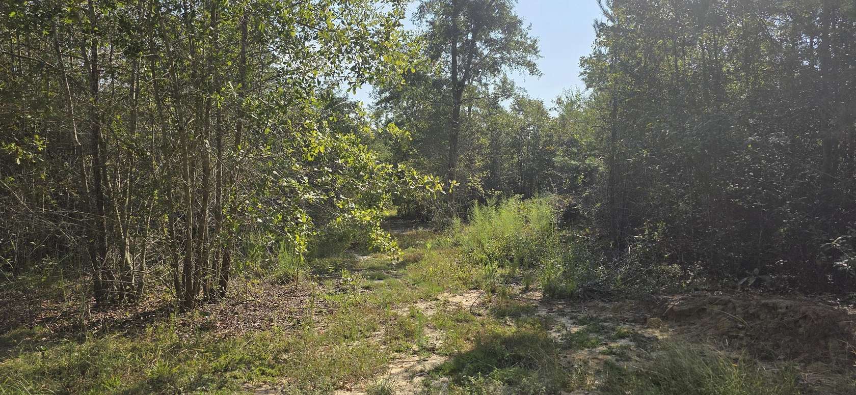 3 Acres of Residential Land for Sale in Aiken, South Carolina