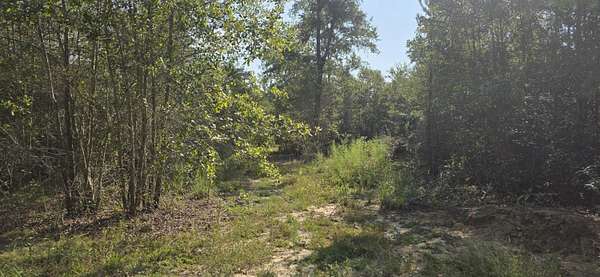 3 Acres of Residential Land for Sale in Aiken, South Carolina