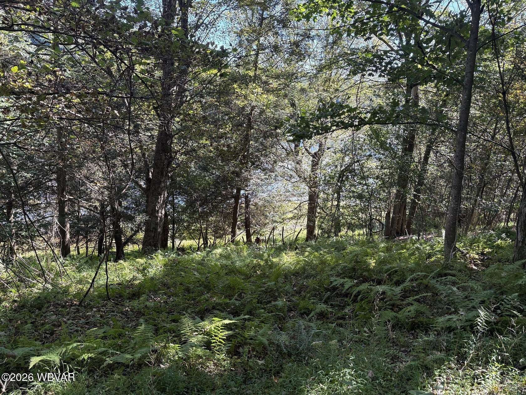 2 Acres of Residential Land for Sale in Muncy Valley, Pennsylvania