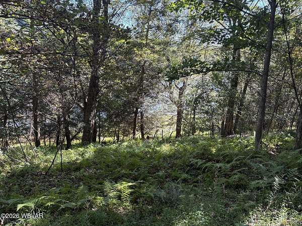 2 Acres of Residential Land for Sale in Muncy Valley, Pennsylvania