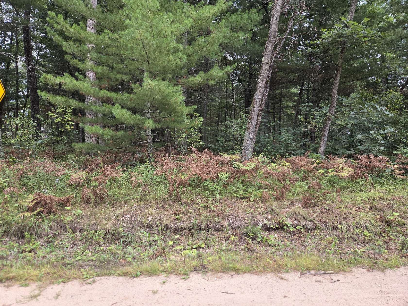 0.23 Acres of Land for Sale in Idlewild, Michigan