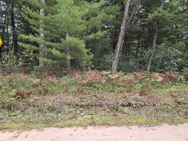0.23 Acres of Land for Sale in Idlewild, Michigan