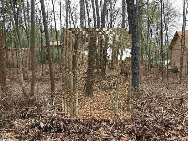0.28 Acres of Residential Land for Sale in Hot Springs Village, Arkansas
