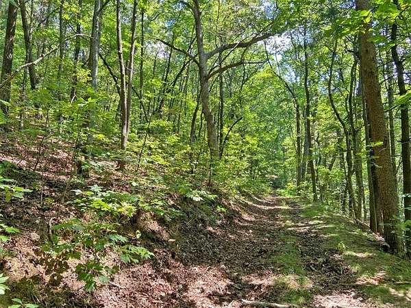 4.8 Acres of Residential Land for Sale in Dawsonville, Georgia