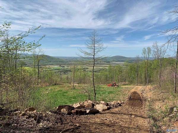 24.8 Acres of Recreational & Residential Land for Sale in Gurley, Alabama