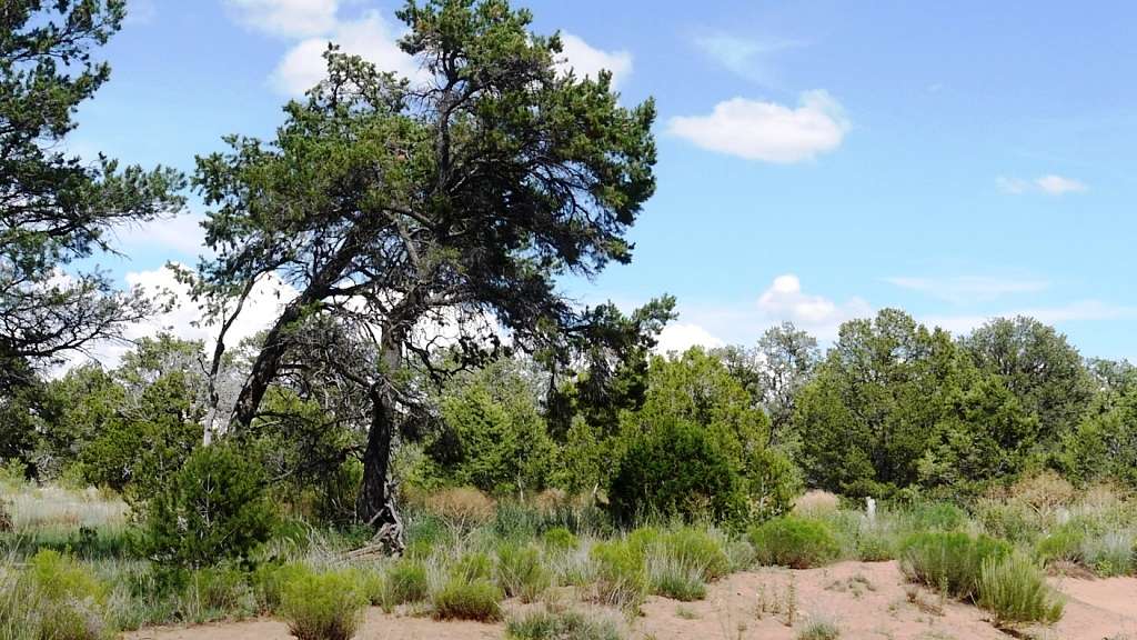 2.4 Acres of Residential Land for Sale in Ramah, New Mexico