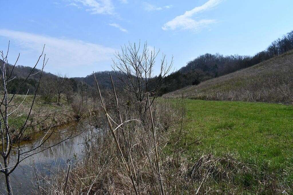Land for Sale in Hilham, Tennessee