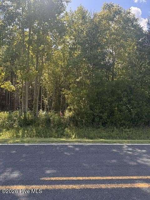 22.7 Acres of Recreational Land for Sale in Ernul, North Carolina