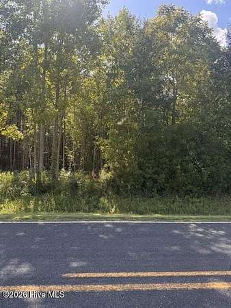 22.7 Acres of Recreational Land for Sale in Ernul, North Carolina