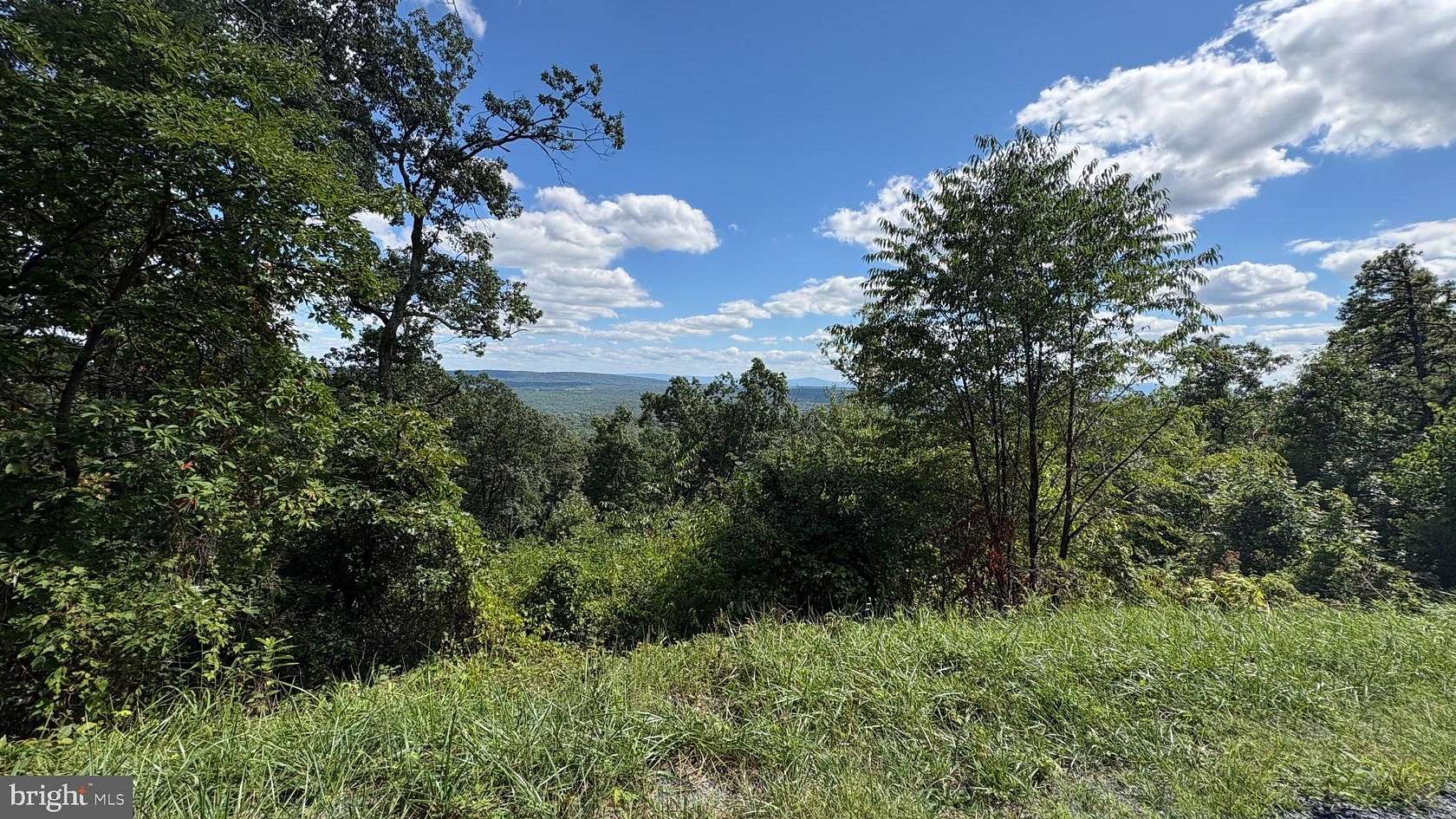 0.42 Acres of Residential Land for Sale in Winchester, Virginia