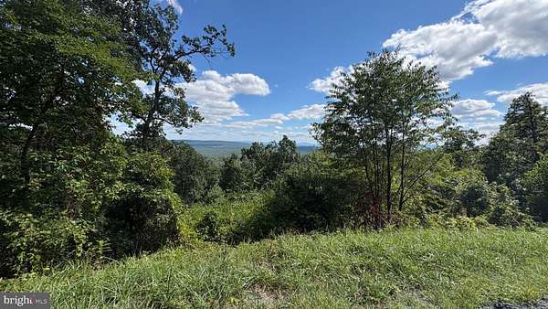 0.42 Acres of Residential Land for Sale in Winchester, Virginia