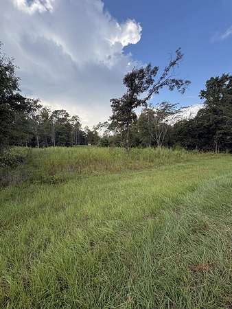0.46 Acres of Land for Sale in Donalsonville, Georgia